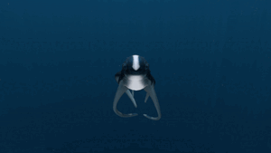 Cute Fish Tease Treat.gif