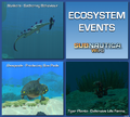 Ecosystem Events