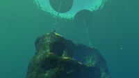 A large, floating rock structure supported by the lilypads