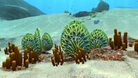Veined Shell Plates on the outskirts of the Sparse Reef and the Grassy Plateaus