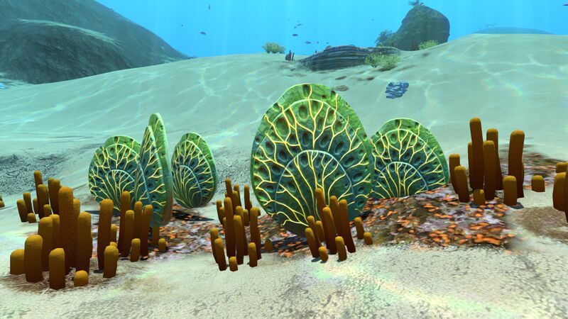 File:Shellplate07.jpg