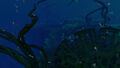 Thumbnail for version as of 13:34, 6 August 2021