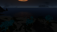 The Mountain Island's beach at night.