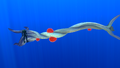 Size comparison with the player
