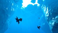 An Arctic Ray swimming in the Arctic
