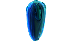 Eggs (9).png