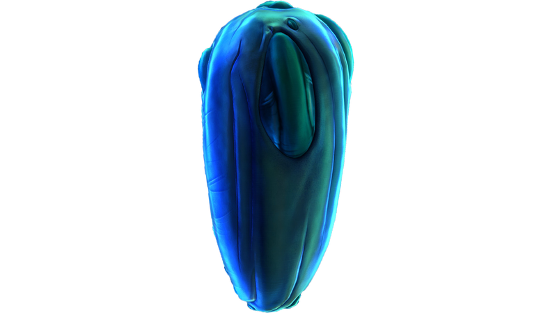 File:Eggs (9).png