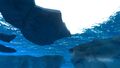 Underneath an Iceberg in the biome