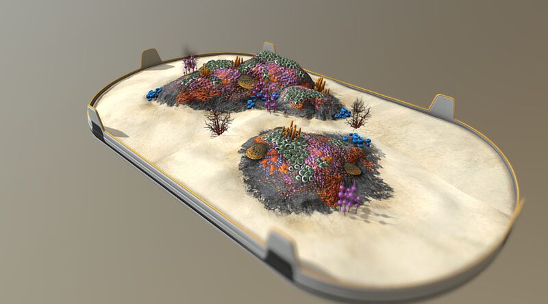 File:LargeAlienContainmentModel.jpeg