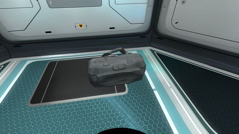 File:Luggage Bag placed.jpg