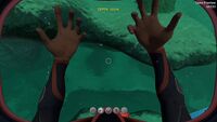 The player's hands the moment before infection.