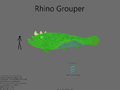 Rhino Grouper Concept "rinoceronte Garoupa" (Idea: A Wikia contributor)
