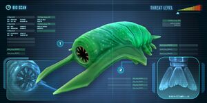 Rock Grub (BZ).jpg