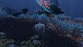 Shale found in Grand Reef