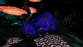 [Bioluminescence]]