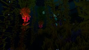 ArcticKelpForest 4.jpg
