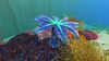 Blue Palm01.jpg