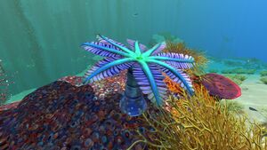 Blue Palm01.jpg