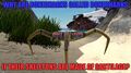 Thumbnail for version as of 08:10, 12 September 2016