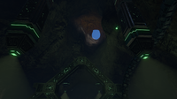 The ceiling of the cave
