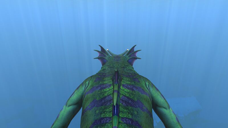 File:SeaDragonLeviathan10.jpg
