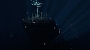 Blood Kelp (15).jpg