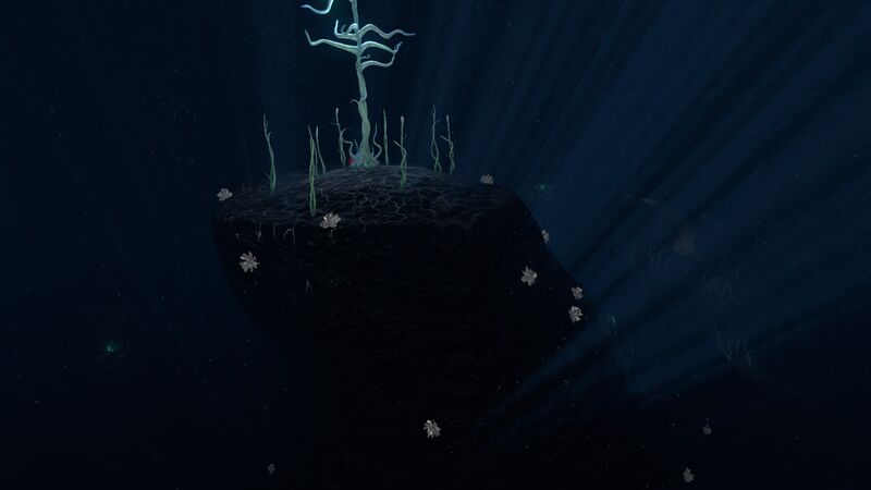 File:Blood Kelp (15).jpg