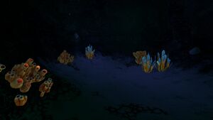 BrownCoralTubesGroup.jpg