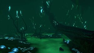 GF BrineIsland.jpg