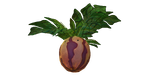 Marblemelon Plant Flora.png