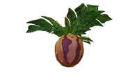 Marblemelon Plant Flora.png