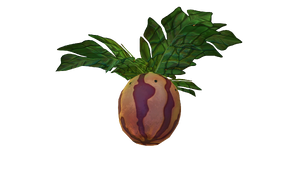 Marblemelon Plant Flora.png