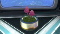 The Basic Plant Pot with Pink Cap inside