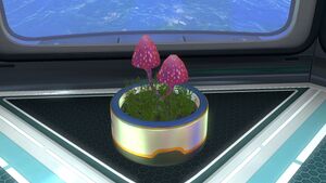 Planter Pot (2).jpg