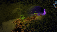 Another view of the caves