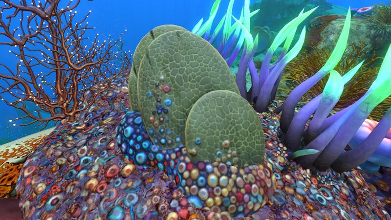 File:Slantedplateshallows.jpg