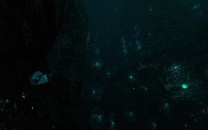 20180819103155 1.jpg