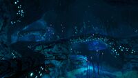 One of the Coral Bridges in the area