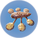Cooked Hoverfish.png
