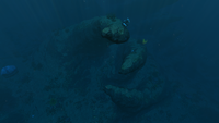 A twisting rock formation