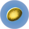 Gas Pod.png