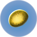 Thumbnail for version as of 03:46, 25 April 2019