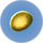 Gas Pod.png