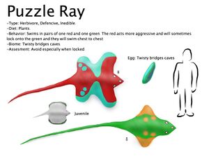 Puzzle ray.jpg