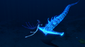 But he is a fighter. He takes it down with one massive projectile. It finally lies dead.