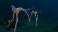 Thumbnail for version as of 21:08, 6 May 2016
