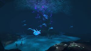 2016-10-23 00004.jpg