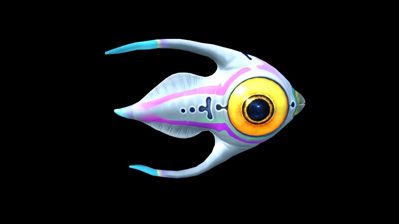 File:Arctic Peeper 1.jpg