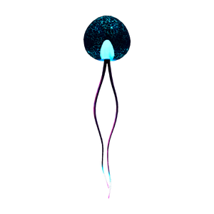 Egg Jellyfish.png