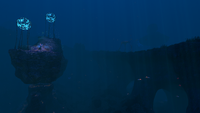 A deeper area of the Grand Reef